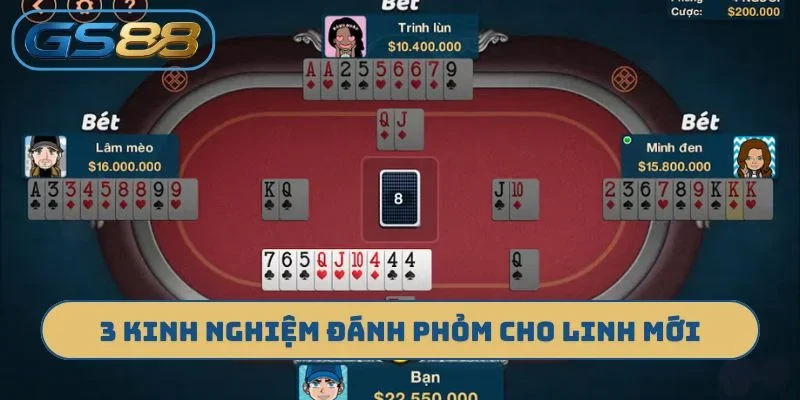 3 kinh nghiệm đánh phỏm cho linh mới