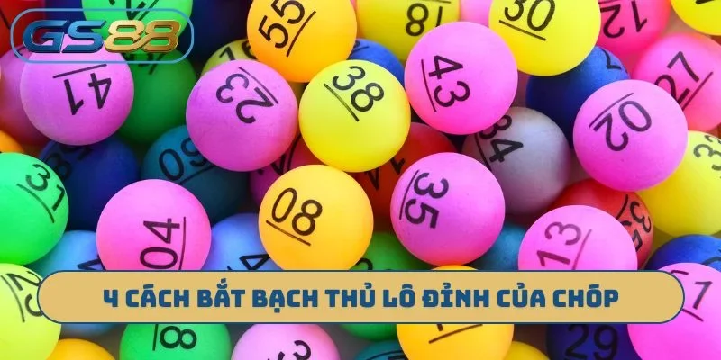 4 cách bắt bạch thủ lô đỉnh của chóp