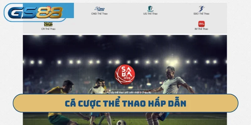 Cá cược thể thao hấp dẫn