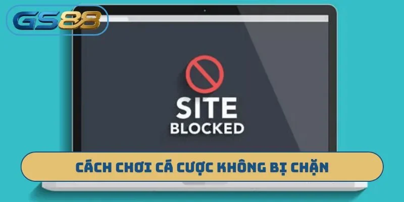Cách chơi cá cược không bị chặn
