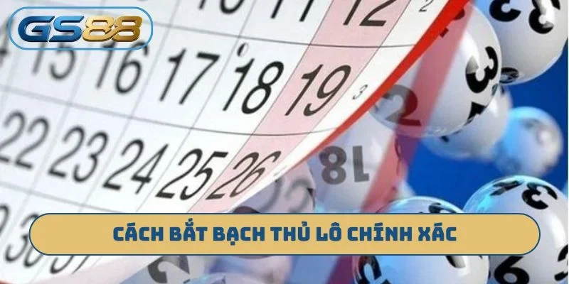 Cách bắt bạch thủ lô