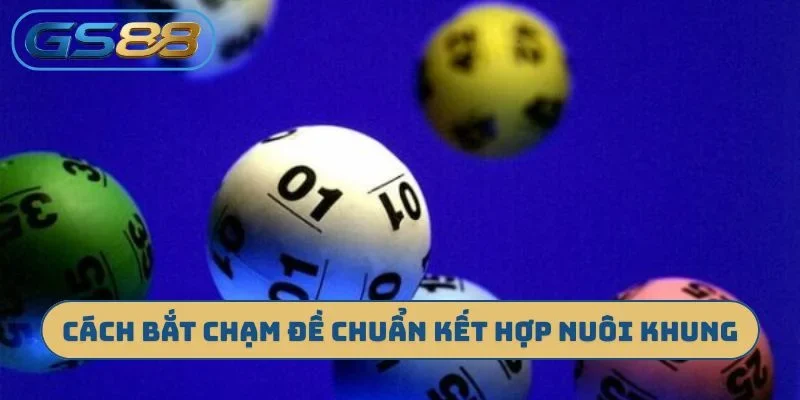 Cách bắt chạm đề chuẩn kết hợp nuôi khung